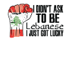Fierté libanaise Drapeau libanais agrandi