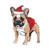French Bulldog Christmas