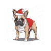 Noël bouledogue français