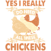 Poulets Élevage de poulets