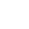 Ingo Ingo