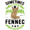 Fennek Geschenk Fennec Wüstenfuchs