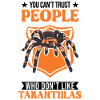 Tarantula Pet Spider Tarantula