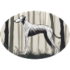 Profile of a Lurcher