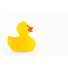 Isolated rubber duck