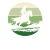 Équitation équestre d’endurance