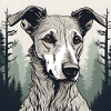 Portrait of a Lurcher