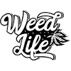 Cannabis Marijuana Weed Smoking