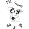 Jack Russell Terrier
