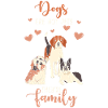 Cat Family