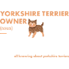 Yorkshire Terrier Owner Definition