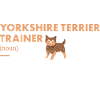 Yorkshire Terrier Trainer Definiton