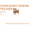 Yorkshire Terrier Trainer Definiton