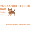 Yorkshire Terrier Dad Definition