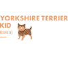 Yorkshire Terrier Kid Definition