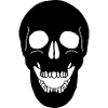 Skull skull in black