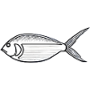 Eleganter Fisch Meeresbewohnner