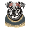 Hund mit Pullover