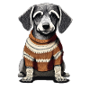 Chien avec un pull