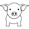 Charming Baby Pig