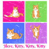 Kitty Kitty