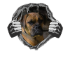 Hund Boxer Hundebesitzer Geschenkidee