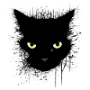 schwarz fluffy Katze
