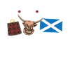 Kilts Cows Caledonia