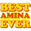 Amina Vorname lustiges Geschenk