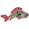 Koi carp,koi, carp, fish