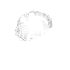 Der Arzt sagt es ist unheilbar - Tischtennis