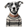 Chien en pull