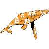 Bitcoin Whale