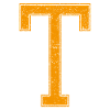 T - Letter / College Style