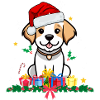 Hund Weihnachten. Weihnachtsgeschenk