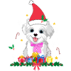 Hund Weihnachten. Weihnachtsgeschenk