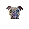Bulldog Bulldog Bulldogs Mom