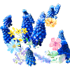 Flowers,Flower,Spring,Blossoms,Hyacinth