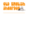 Old English Sheepdog Sheepie Bobtail