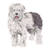 Old English Sheepdog Sheepie Bobtail