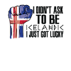 Islandsk stolthed Islandsk flag vokset
