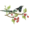 Bunter Vogel