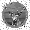 Cerf