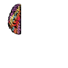 Psychology Psychologist