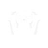 Hund Ich Hasse Menschen