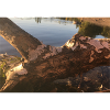 Lake, Birch, Log, Nature