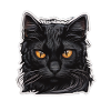 Black cat