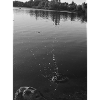 Water, water droplets, nature
