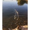 Lake, Drops, Nature