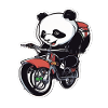 Panda Bicycle Bicycle Panda